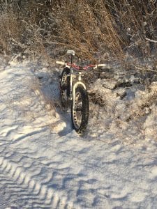 free-wheels.de #free_wheels_shop, #pillnach