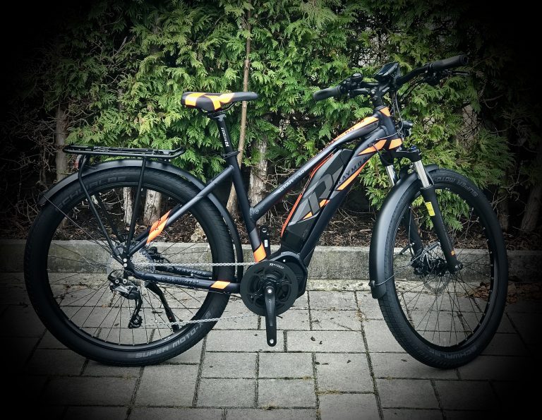 cross e-bike fahrrad lang straubing